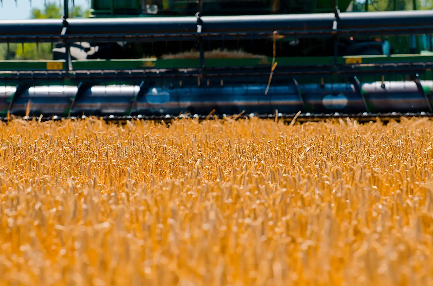Productos agrícolas y ganaderos en Madrid – Vega del Torrejón